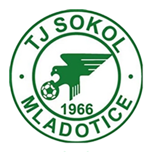 TJ Sokol Mladotice logo
